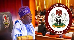 Senate Approves Tinubu’s Request To Deploy Troops To Benin Republic