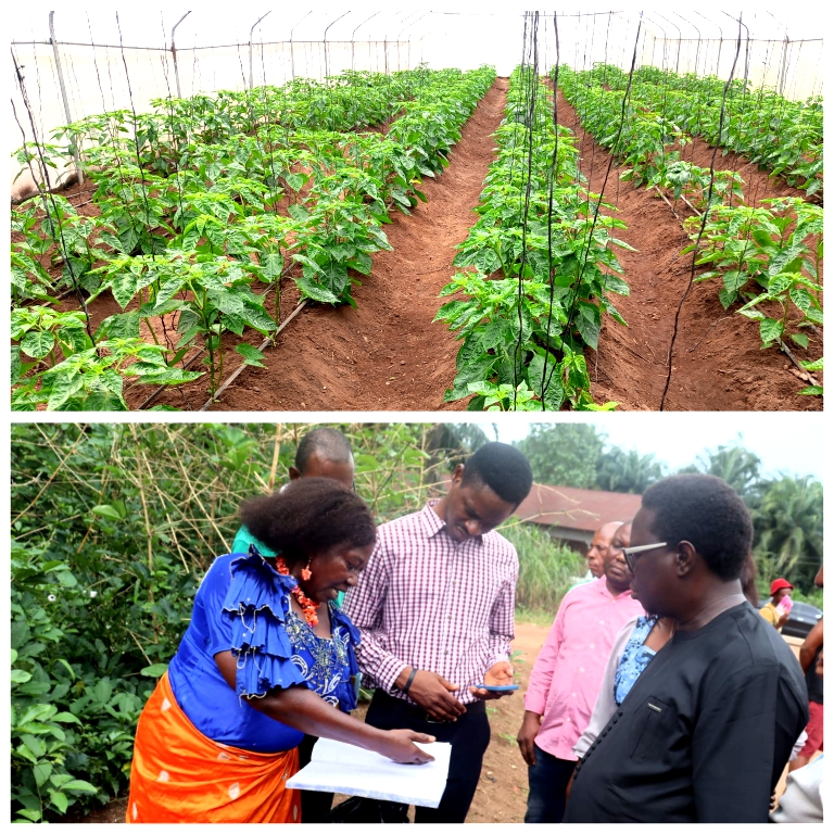 IFAD Nutrition Follow-up Team Visits Abia, Assesses LIFE-ND Agro Implementation